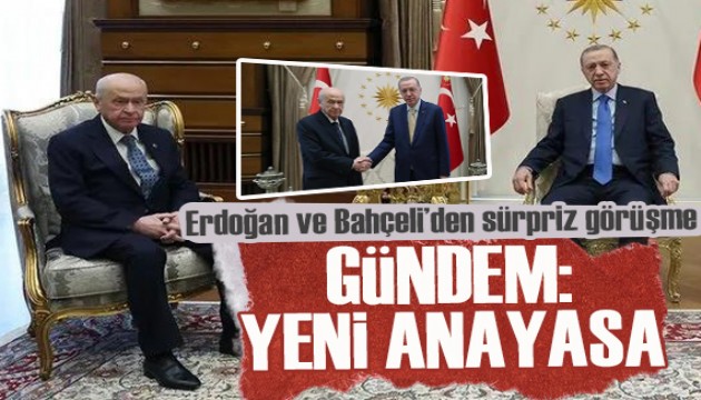 Cumhurbaşkanı Erdoğan, Devlet Bahçeli'yi kabul etti