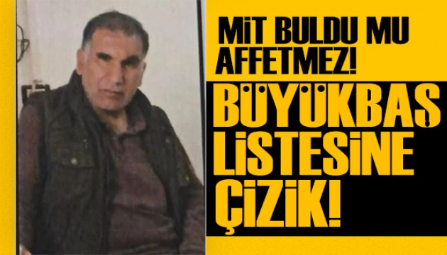 MİT'ten nokta atış! Hamza Kobani etkisiz hale getirildi