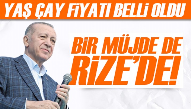 Cumhurbaşkanı Erdoğan Rize'de! 2023 yılı yaş çay alım fiyatı belli oldu