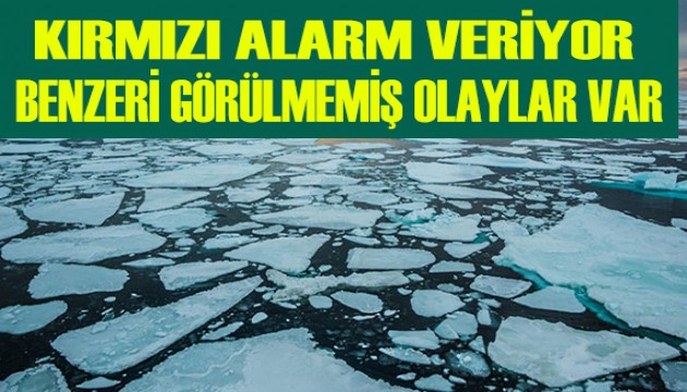 Kutuplar için kırmızı alarm!