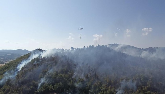 Çanakkale’deki orman yangını kontrol altına alındı