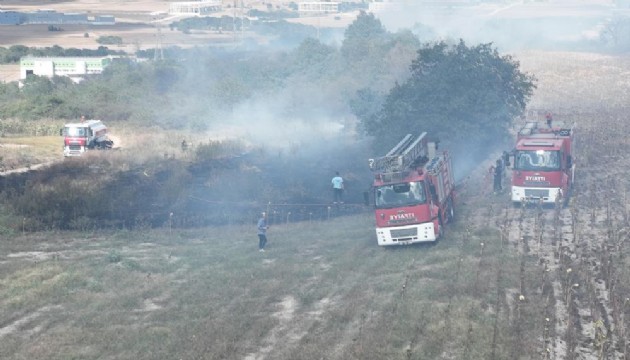 Tekirdağ'da korkutan orman yangını: Yüksek gerilim hattı zarar gördü