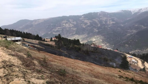 Trabzon'da orman yangını