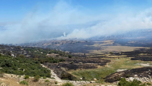 Soma'daki orman yangınında bir mahalle tahliye edildi