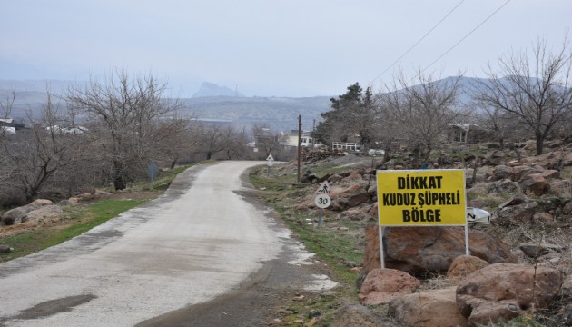 Şanlıurfa'da başıboş köpek saldırısı: 3 yaralı
