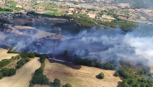 Çanakkale'de orman yangını!