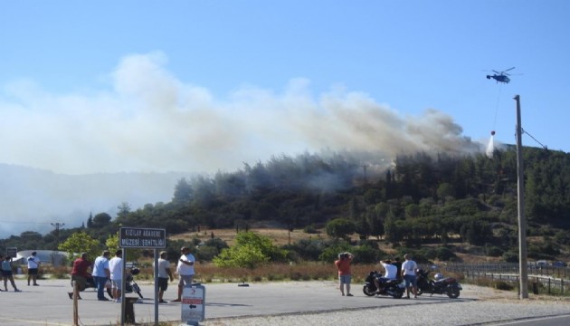 Çanakkale’deki orman yangını kontrol altına alındı