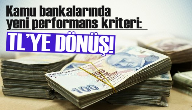 Kamu bankalarında yeni performans kriteri: TL'ye dönüş