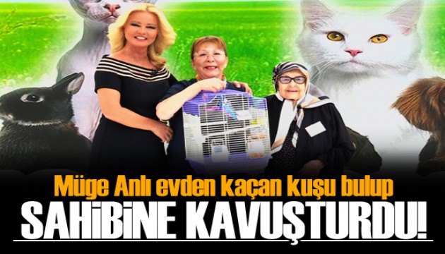 Müge Anlı, evden kaçan kuşu bulup sahibine kavuşturdu