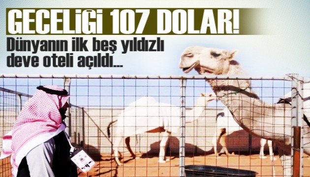 Dünyanın ilk beş yıldızlı deve oteli açıldı: Geceliği 107 dolar