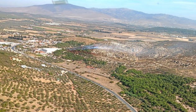 İzmir'de orman yangını