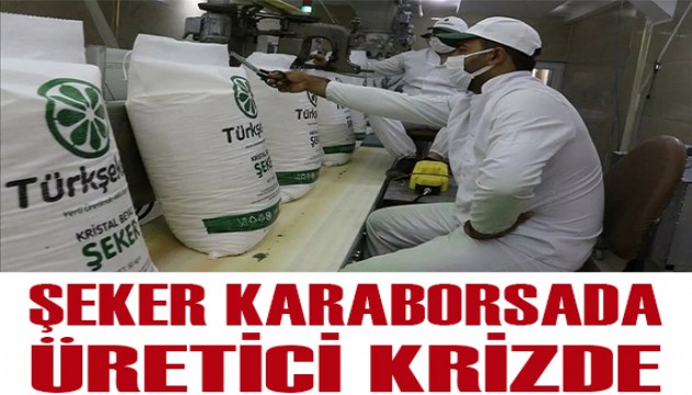 Şeker üretiminde büyük kriz! Karaborsaya düştü