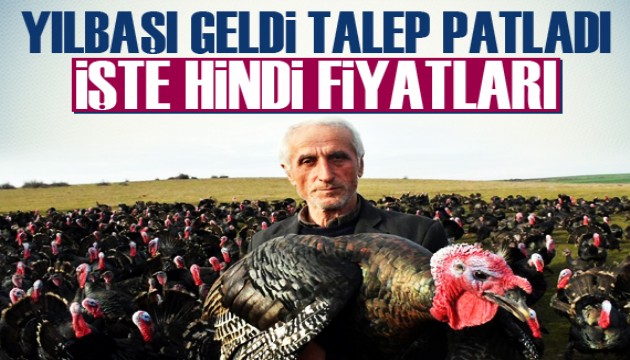 Yılbaşı hindisi fiyatları ne kadar?