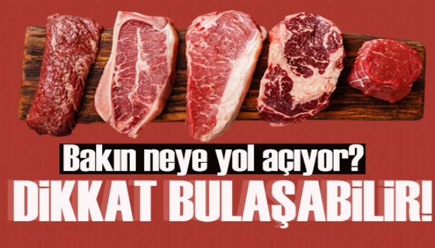 Salmonella Bakterisi'ne dikkat! Bakın neye yol açıyor