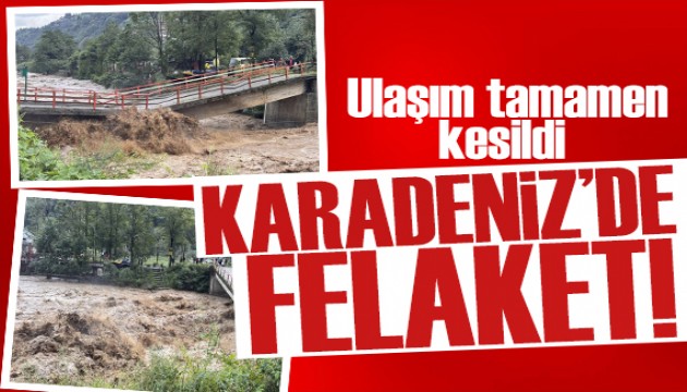 Ordu ve Artvin'de sel felaketi! Bazı köylerle ulaşım tamamen kesildi