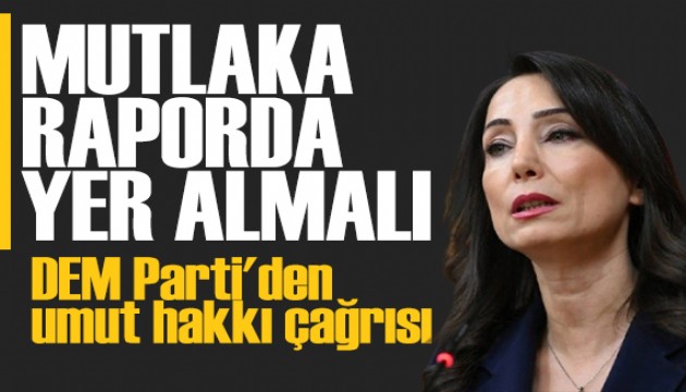 DEM Parti'den umut hakkı çağrısı: Mutlaka raporda yer almalıdır