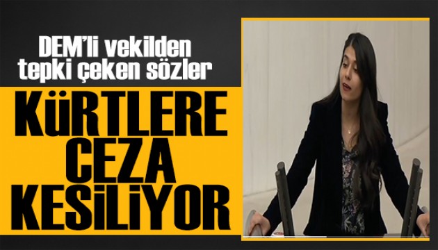 DEM'li vekilden tepki çeken sözler: Kürtlere trafik cezası kesiliyor