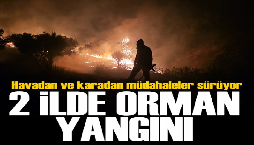 Muğla ve Antalya'da peş peşe yangın! Müdahale sürüyor