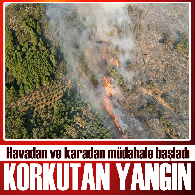 Antalya'da korkudan yangın! Havadan ve karadan müdahale başladı