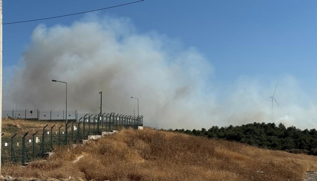 İzmir'de ormanlık alanda yangın! Müdahale sürüyor