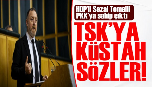 HDP'li Sezai Temelli PKK'ya sahip çıktı! TSK'ya küstah sözler