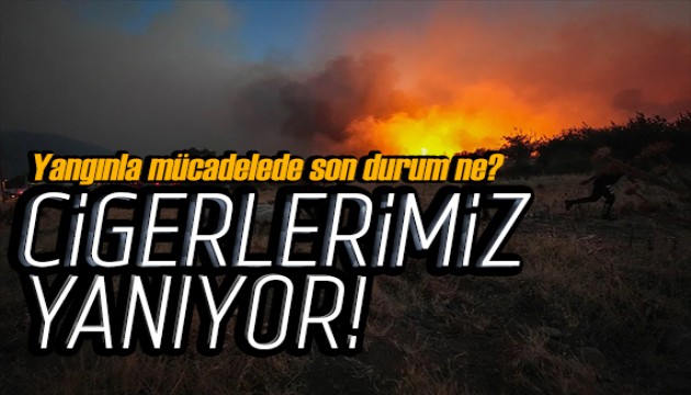 Ormanlar yanıyor! Yangınlara müdahalede son durum