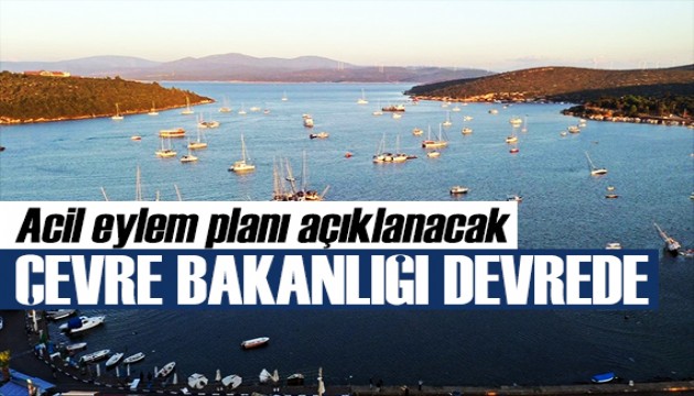 Bakan Kurum talimatı verdi: İzmir Körfezi Bilim Kurulu oluşturuldu