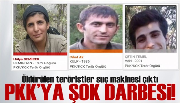 Bakan Yerlikaya operasyonu duyurdu! Öldürülen teröristler suç makinesi çıktı