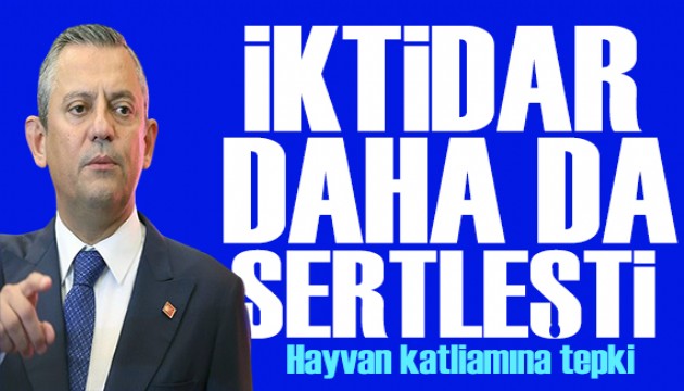 Özgür Özel'den hayvan katliamına tepki: İktidar daha da acımasızlaşıyor