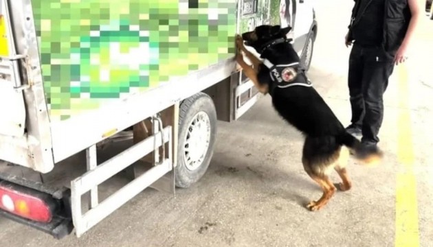 90 kilo uyuşturucu ele geçirildi