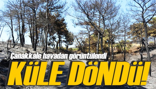 Çanakkale'de 52 saat sonra kontrol altına alınan yangın yürek sızlattı! Havadan görüntülendi