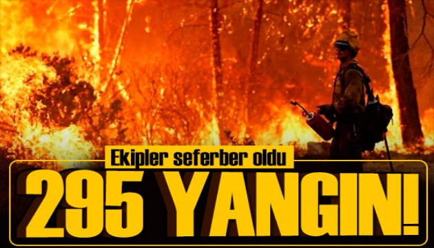 Ekipler seferber oldu! 20 günde 295 yangın çıktı