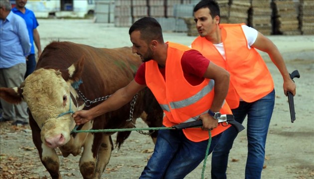 İBB Kurban Bayramı'na hazır!