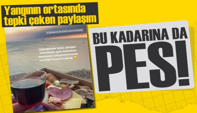 Çanakkale'de yangınla mücadele sürüyor! Sosyal medyada tepki çeken paylaşım