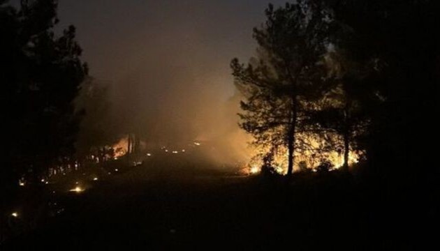 İzmir'de orman yangını