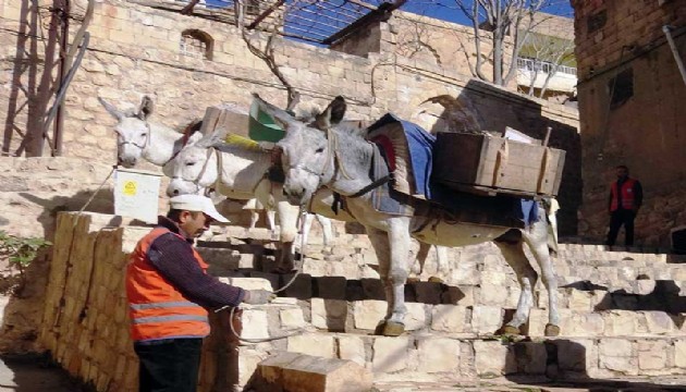 Eşeklerin mesaisi 5 saate indirildi