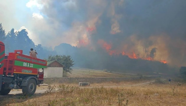 Ankara-Bolu sınırında yangın