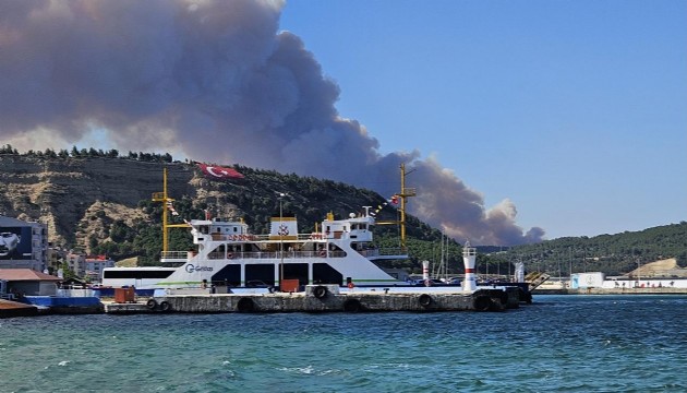 Çanakkale'de orman yangını