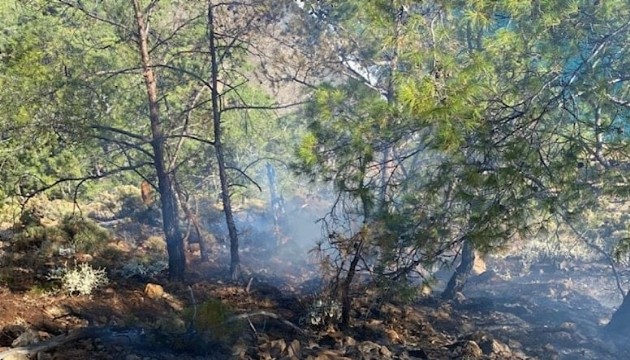 Valilik uyardı: Yangınlara karşı dikkatli olun