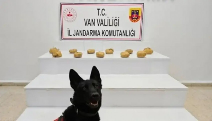 Van'da zehir tacirlerine operasyon