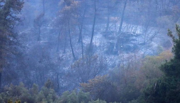 Bursa'daki yangın ikinci gününde