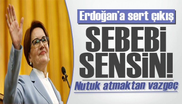 Akşener'den Erdoğan'a sert çıkış: Bunların sebebi sensin!