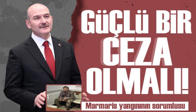 Marmaris'teki yangında son durum! Bakan Soylu: Güçlü bir cezası olmalı!