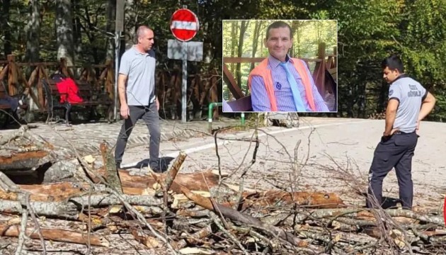 Üzerine ağaç devrilen temizlik işçisi hayatını kaybetti