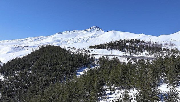 7 milyondan fazla fidan toprakla buluşturuldu