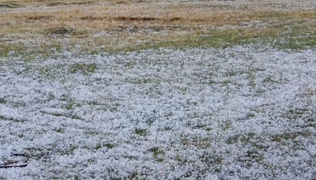 Ağrı'da dolu tarıma zarar verdi