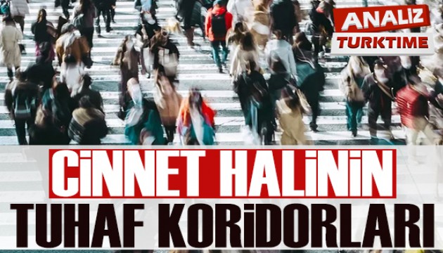 Cinnet Halinin Tuhaf Koridorları