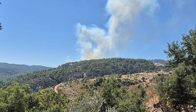 Antalya'da orman yangını