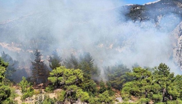 Antalya'da orman yangını! Havadan ve karadan müdahale ediliyor