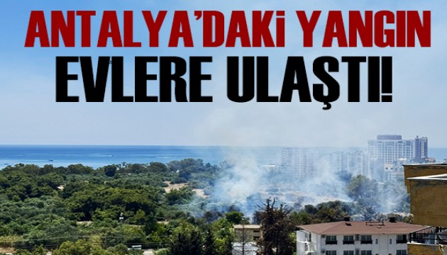 Antalya'daki yangın evlere ulaştı!